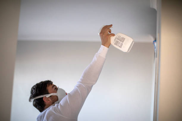 Best Emergency Mold Remediation in Weidman, MI