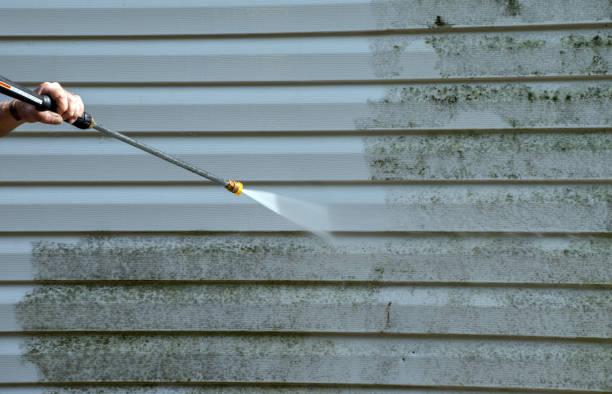 Best Residential Mold Remediation in Weidman, MI