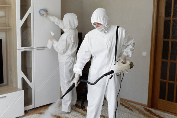 Weidman, MI Mold Remediation Company