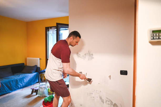 Best Commercial Mold Remediation in Weidman, MI