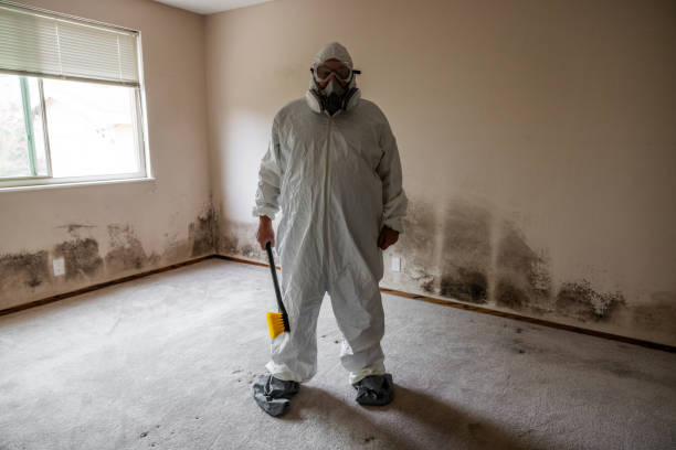 Best Attic Mold Remediation in Weidman, MI